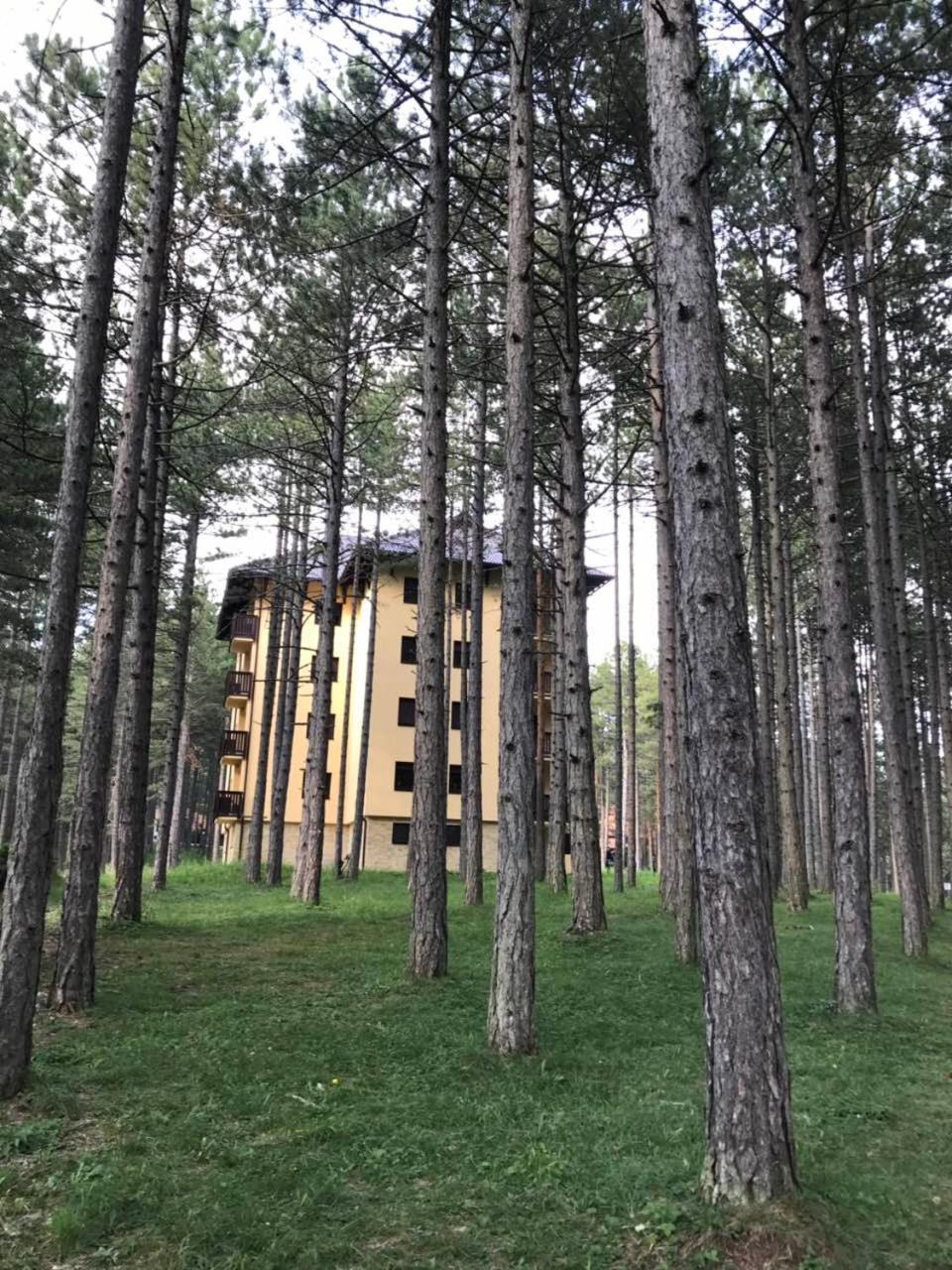 Zlatibor Apartmani Jakovljevic Eksteriør billede